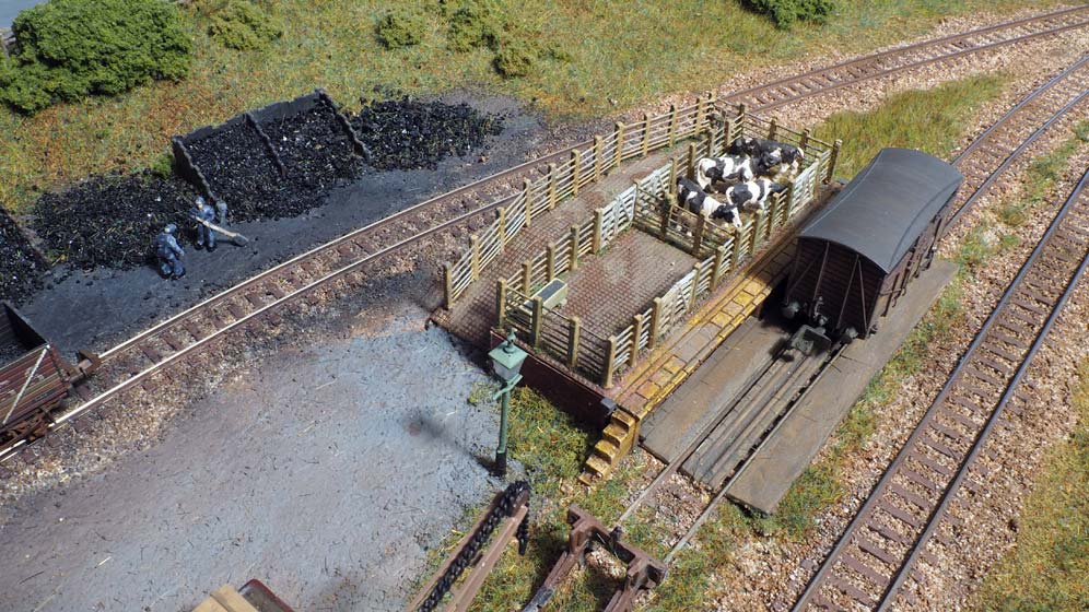 Cattle dock from above