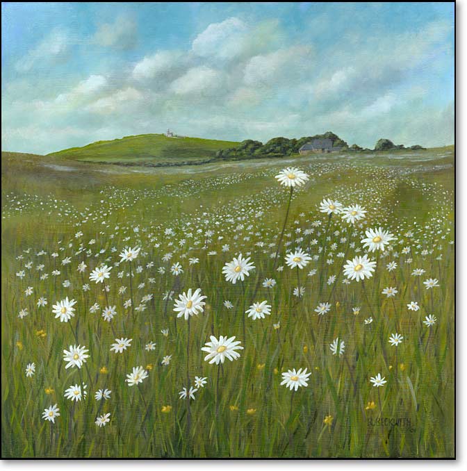 A Field of Daisies